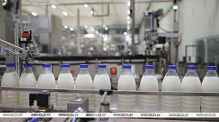 Производство сельхозпродукции в Беларуси в январе-ноябре увеличилось на 2,6%