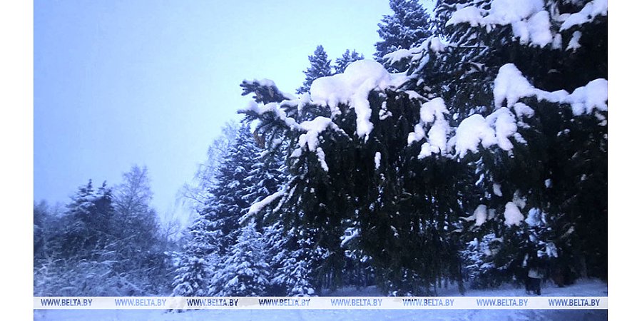 Порывистый ветер, снег. Какой будет погода в Беларуси сегодня