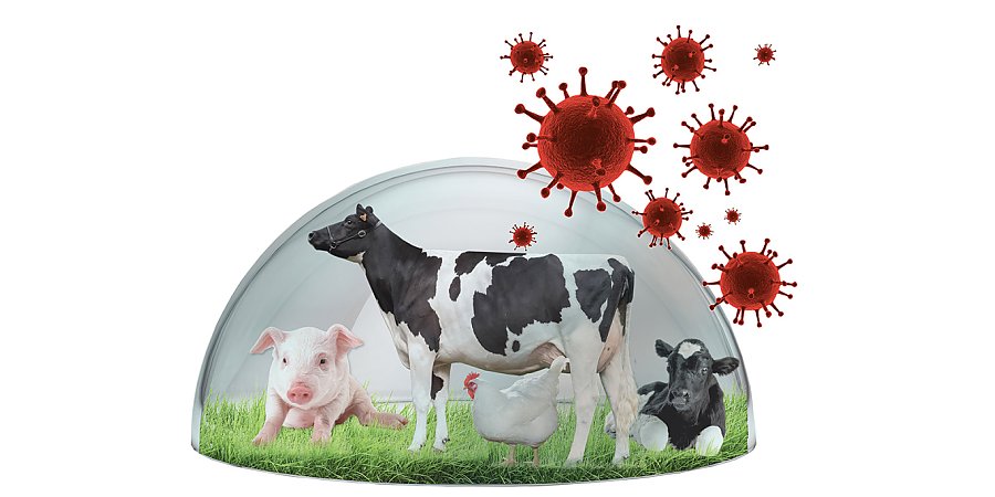 О принятии мер по обеспечению биологической защиты животноводческих объектов