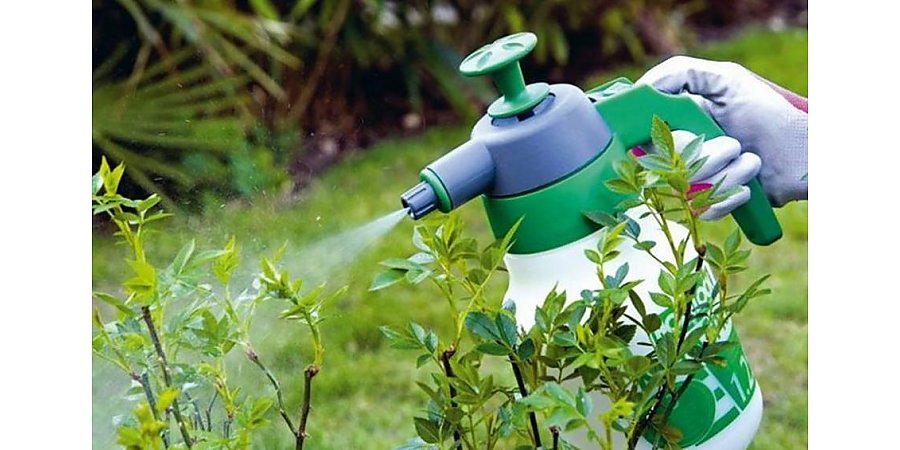 Защитить, но не навредить: как правильно использовать средства защиты растений