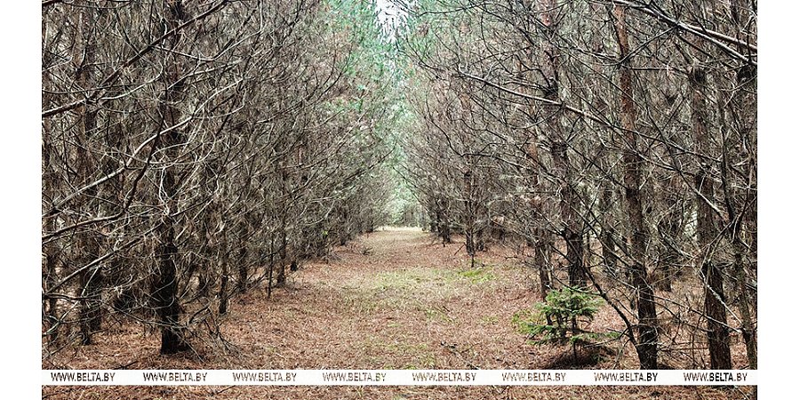 Зима уже на пороге? Какой будет погода на неделе с 27 октября по 2 ноября