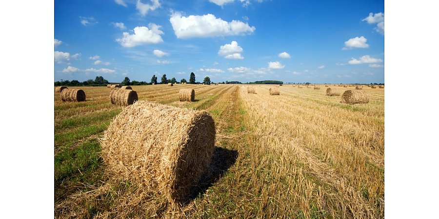 Народные приметы на 18 августа 2025 года: что можно и нельзя делать в этот день