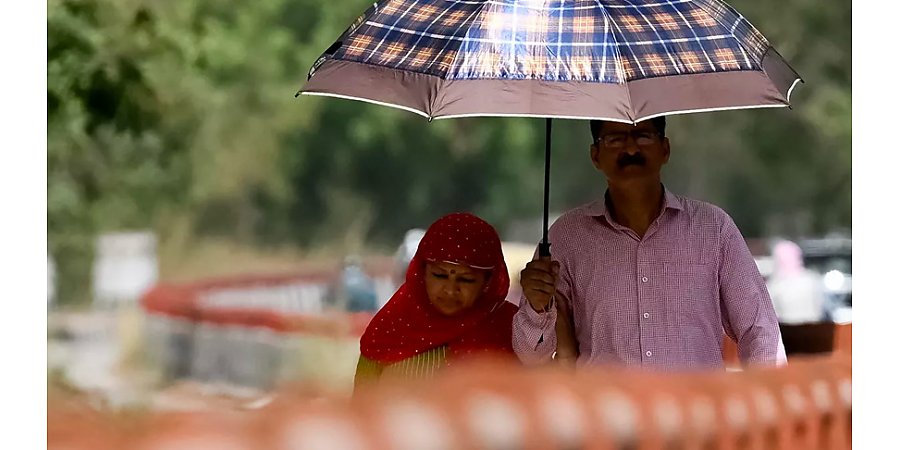 Температура в Дели впервые превысила 52 градуса, объявлен красный уровень тревоги