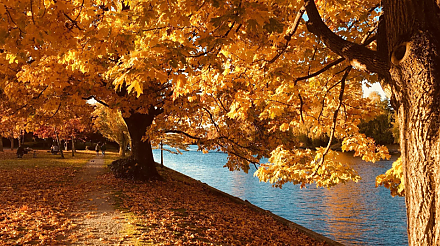 Народные приметы на 8 сентября: что можно и нельзя делать в этот день