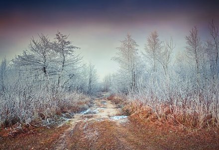 Приметы на 24 ноября 2025: на Федора Мороза приготовьте щи