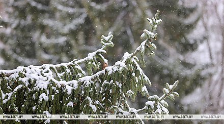 Гололед, снег, по югу - с дождем. Синоптики рассказали о погоде на 7 февраля