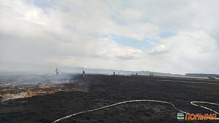 В Кореличском районе спасатели второй день тушат торфяники