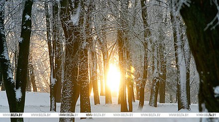 Морозный и снежный день. Какой будет погода в канун Нового года