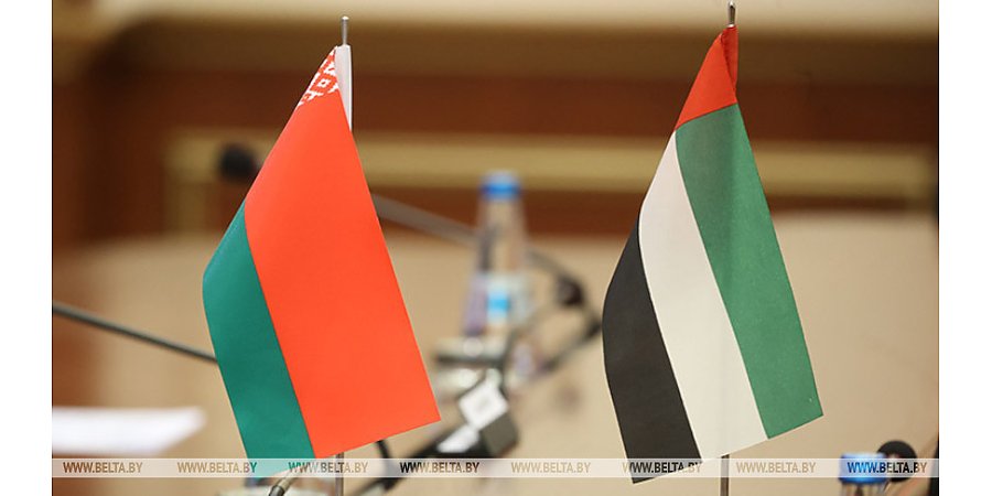 Беларусь и ОАЭ заинтересованы в совместных проектах в сфере цифрового развития 