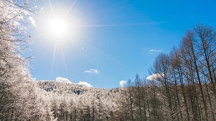 Встретьте рассвет во время Солнцеворота: приметы на 25 декабря 2025