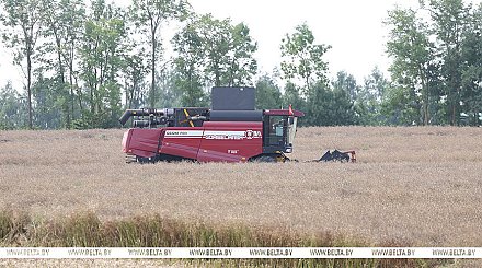 Александр Лукашенко снова посещает Смолевичский район, в центре внимания - уборка озимого рапса