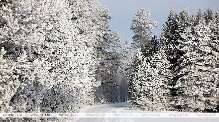Температурные качели в Беларуси: когда опять будем сильно мерзнуть