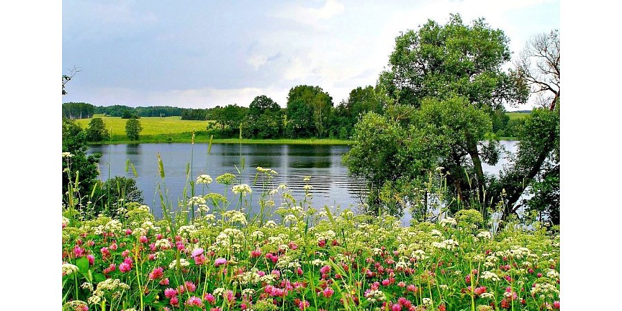 Народные приметы на 23 июня 2025 года: что можно и нельзя делать в этот день