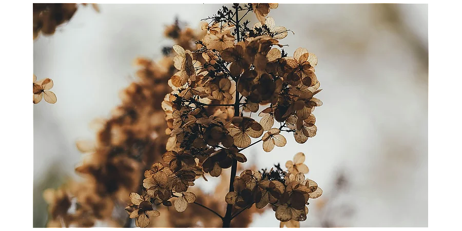 Народные приметы ноября: что ждать от последнего месяца осени