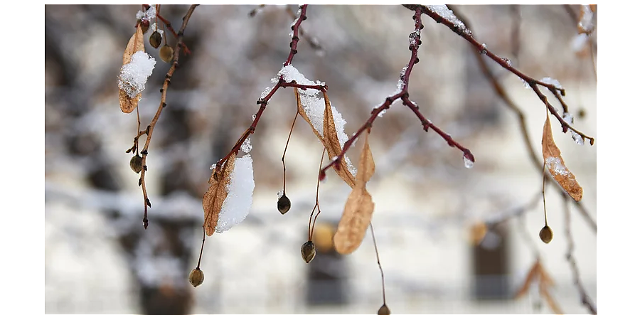 Испеките колобок: народные приметы на 5 марта 