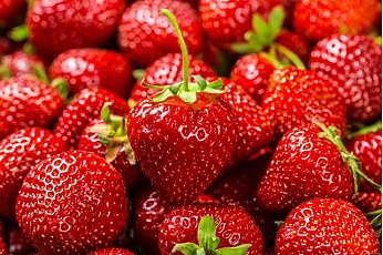 2 пшика по цветкам – и клубника вырастет крупной и сладкой: ягодки будут как с картинки