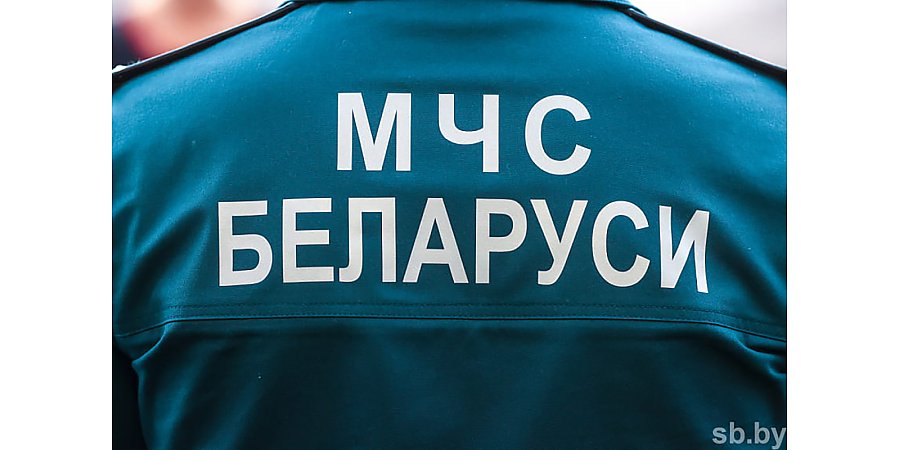 В МЧС напомнили о факторах опасности при усилении ветра