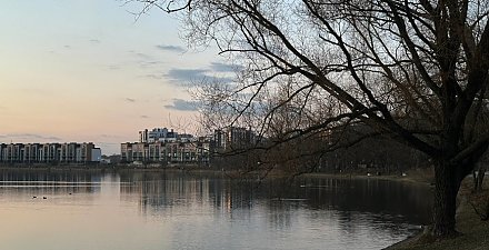 Понадобится ли белорусам зонт? Синоптики рассказали о погоде 21 марта