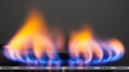 СМИ: поляки столкнулись с рекордными тратами на электричество и газ в январе