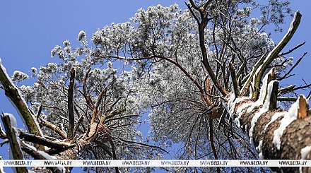 Метеозависимым приготовиться. Какие качели готовит погода на ближайшую неделю, рассказали синоптики