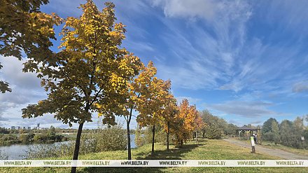 До +12°С тепла будет сегодня в Беларуси