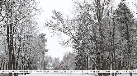Гололедица и метель ожидаются сегодня в Беларуси