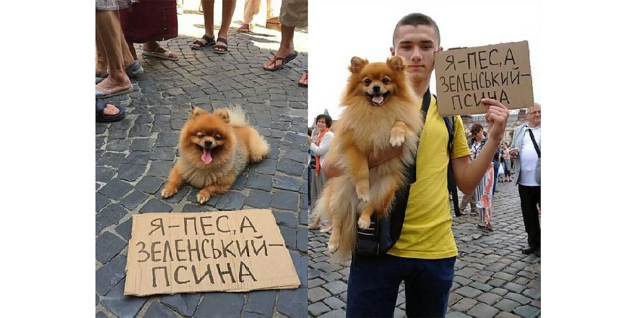 Зеленский «разгавкался» на белорусов, но ему быстро закрыли рот