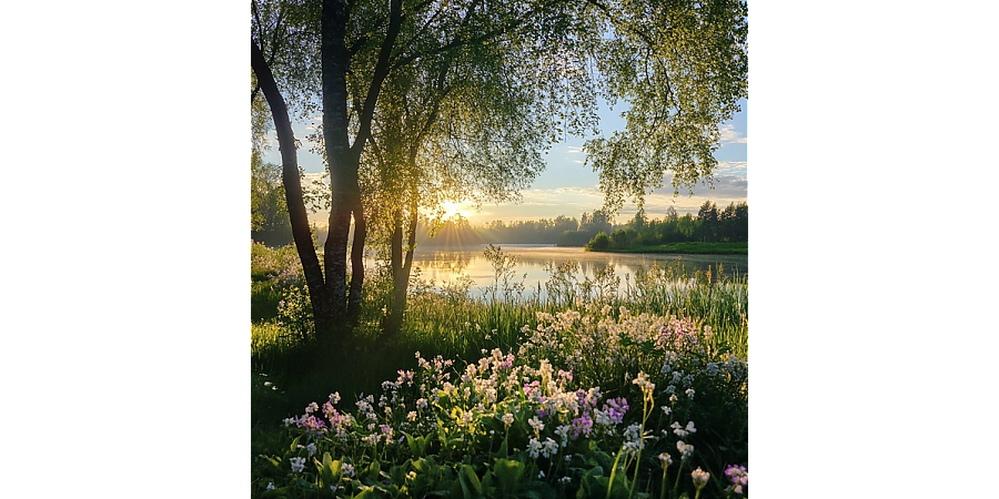 Народный календарь на 13 мая 2025 года: что можно и нельзя делать, приметы и праздники