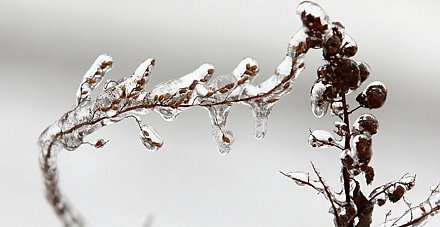 Гололедицу и небольшой снег прогнозируют синоптики на 13 января