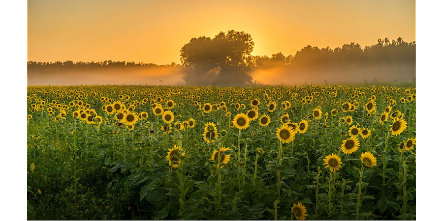 Народные приметы на 11 августа: что можно и нельзя делать в этот день