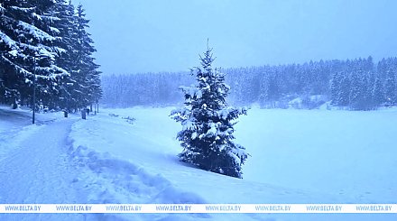Облачно, местами сильный снег. Какой будет погода в Беларуси сегодня
