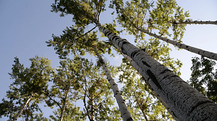 Народные приметы на 5 октября: что можно и нельзя делать в этот день