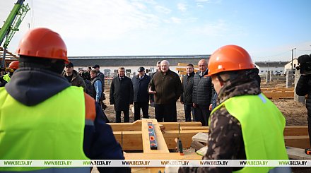Образец для Полесья. Александру Лукашенко представили проект опытного строительства МТК из деревянных конструкций