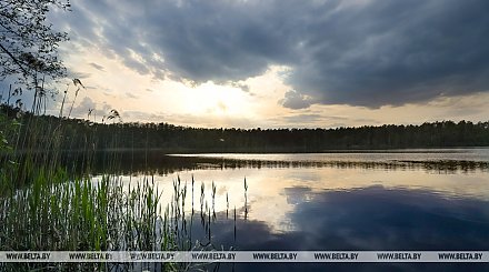 Дожди и местами заморозки прогнозируются в Беларуси 15 мая