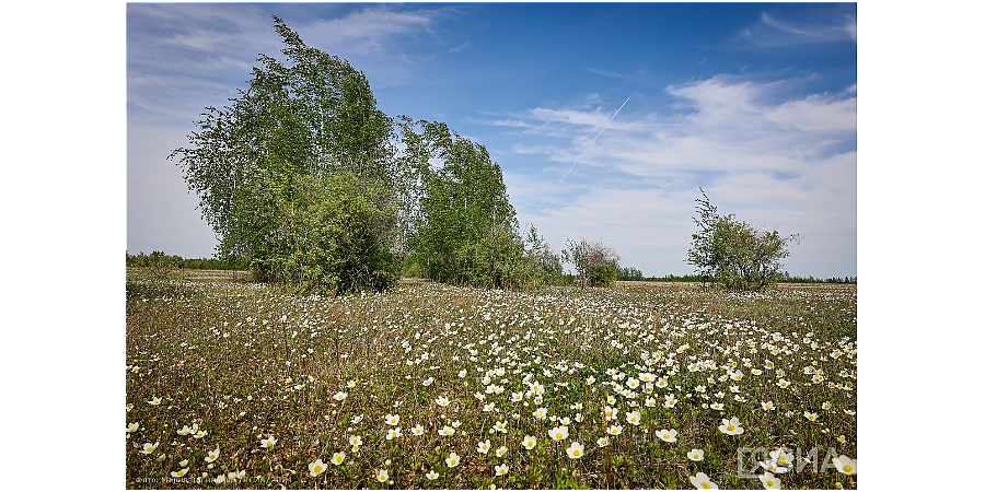 Народные приметы на 21 августа: что можно и нельзя делать в этот день