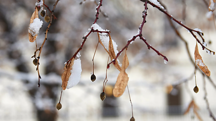 Приготовьте гороховую кашу: народные приметы на 8 февраля