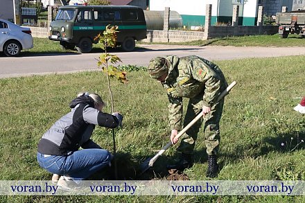 «Вместе для зеленой Беларуси». На Вороновщине поддержали Единый день озеленения