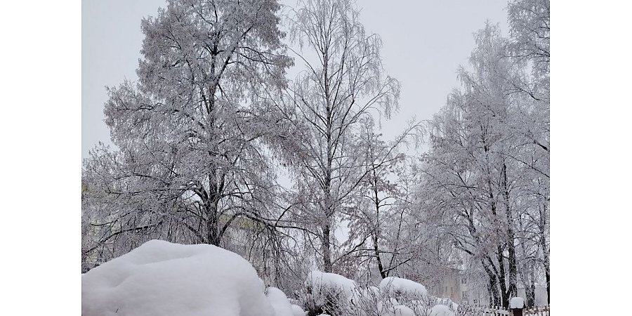 Ночью до -25..-30°С. Оранжевый уровень опасности объявлен в Беларуси 15 января