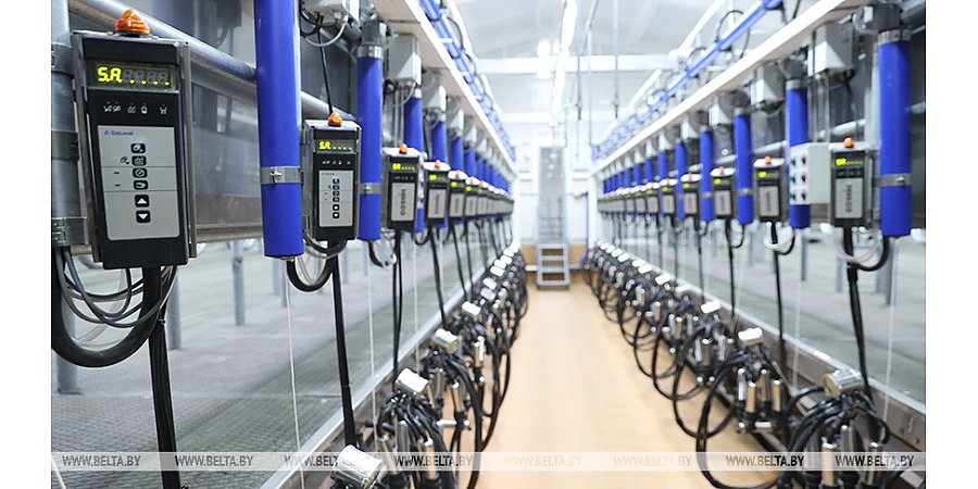 Нормативы стоимости на 2026 год при строительстве молочнотоварных ферм определены в Беларуси 