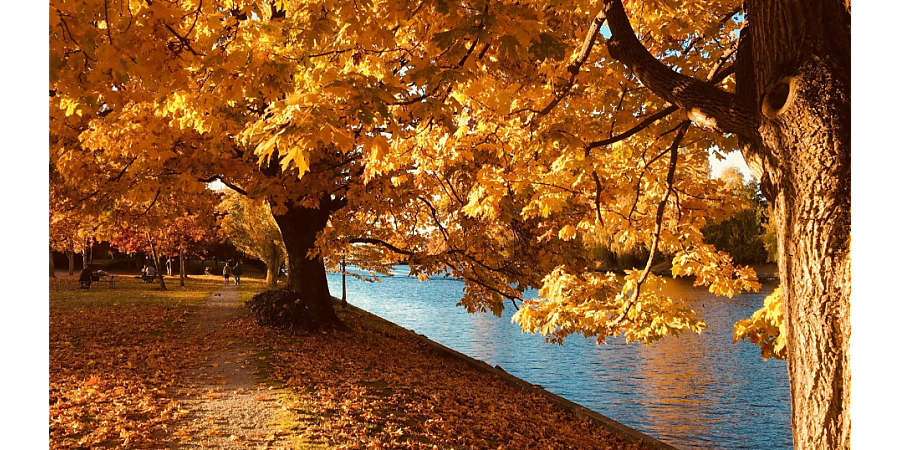 Народные приметы на 8 сентября: что можно и нельзя делать в этот день