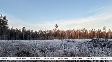 Мокрый снег, дождь, гололедица. Какой будет погода в Беларуси 17 ноября