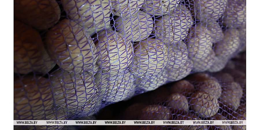 Как пожилые и инвалиды могут получить бесплатную доставку овощей, рассказали в Минтруда