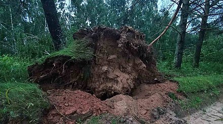 Грозы и сильный ветер вызвали перебои с электричеством в 788 населенных пунктах Беларуси