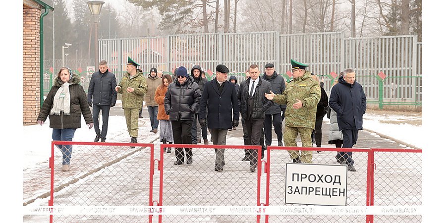Железный занавес и урон реликтовому лесу. Представители международных организаций оценили влияние польского забора на Беловежскую пущу