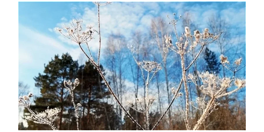 Заточите ножи в Захарьев день: народные приметы на 21 февраля
