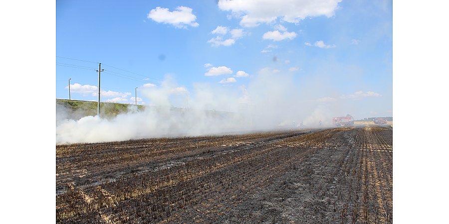 Возгорания посевов и зерносушильных установок тушат спасатели