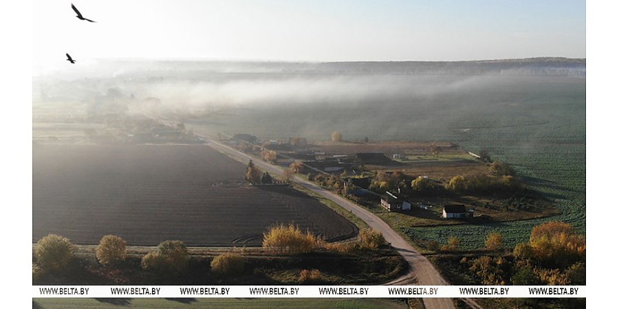 Поддержка села. Что делается в Беларуси для развития регионов?