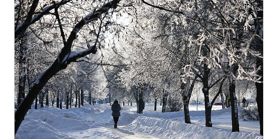Будут ли в Беларуси сегодня снегопады, рассказали синоптики