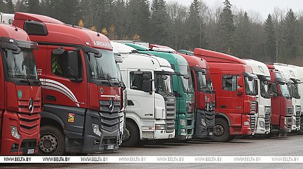 Так кто должен открыть границу? В Литве намерены вновь обратиться к Беларуси насчет фур, на этот раз "на более высоком уровне"