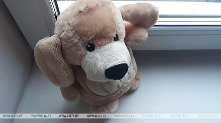 Блокирующая защита, отсутствие мебели у окон. Как повысить безопасность детей в быту